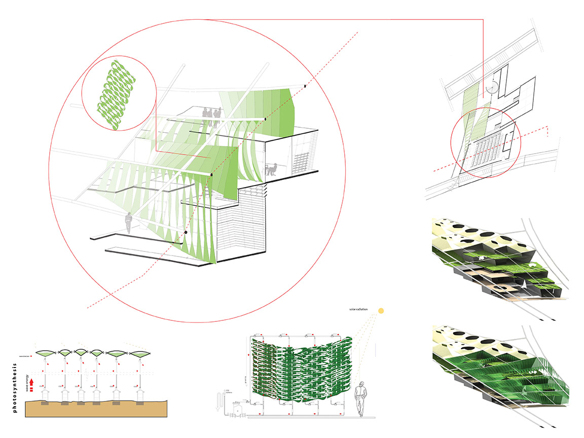 Littoral Adaptation Image