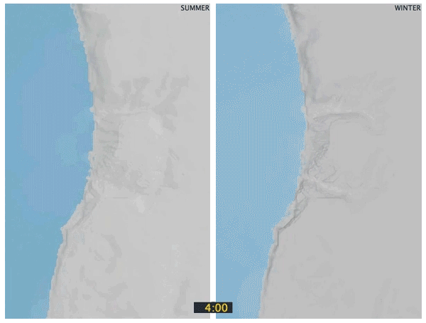 Littoral Adaptation Image