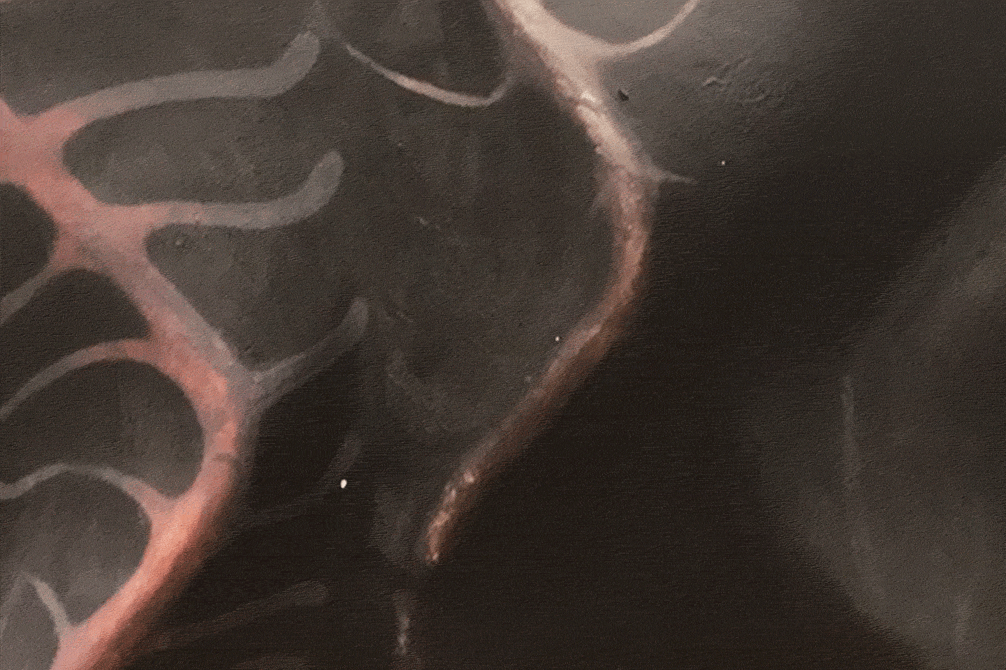 Sentient Thermochromics image