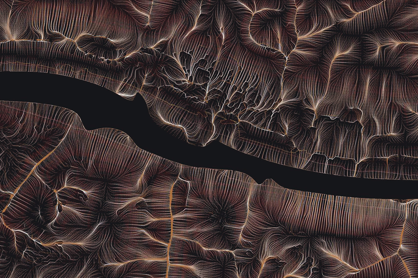 Epiflow image