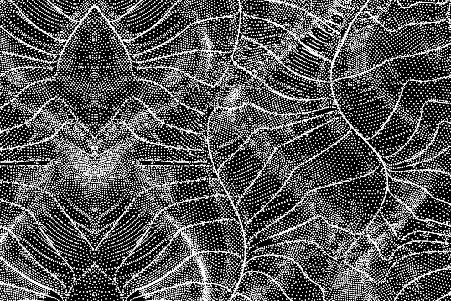 Sentient Thermochromics image