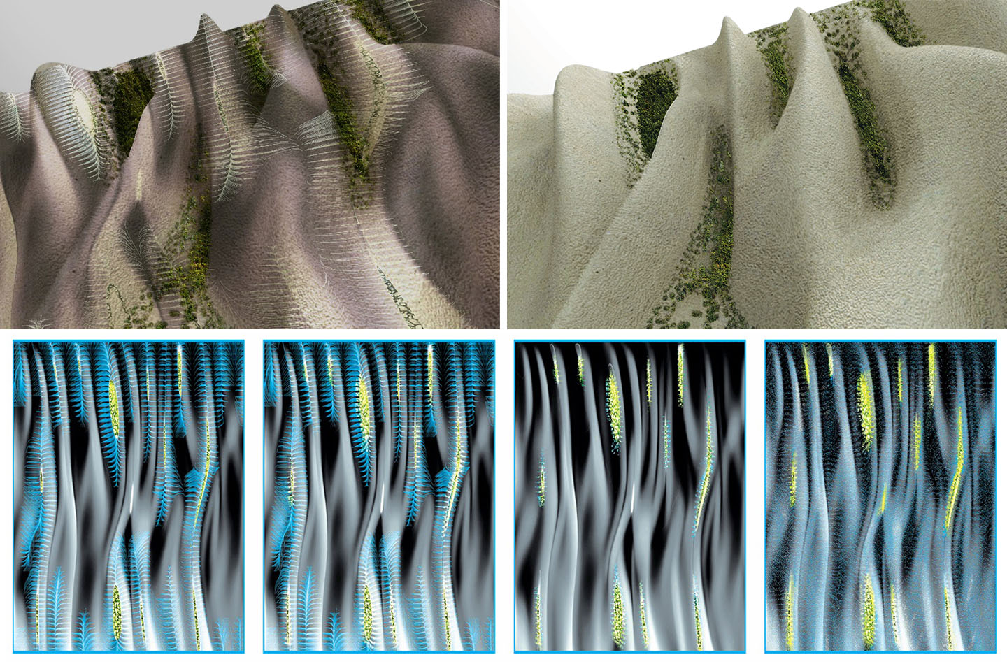Moss Regimes Images
