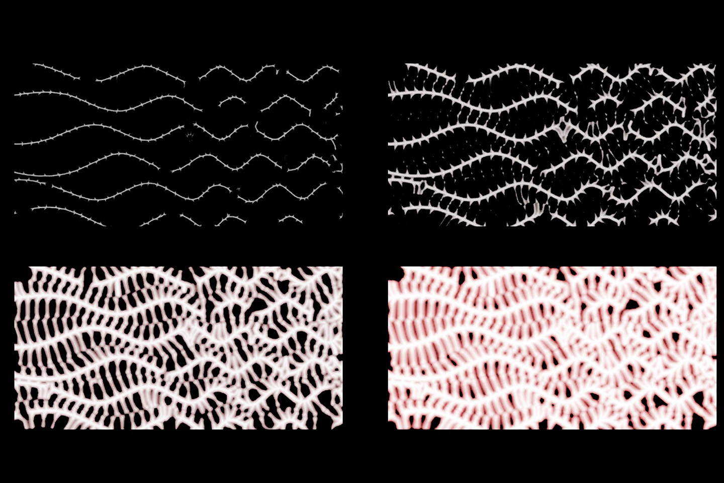 Sentient Thermochromics image