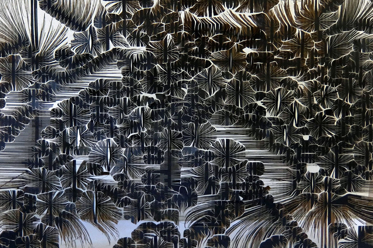 Ecologics Image