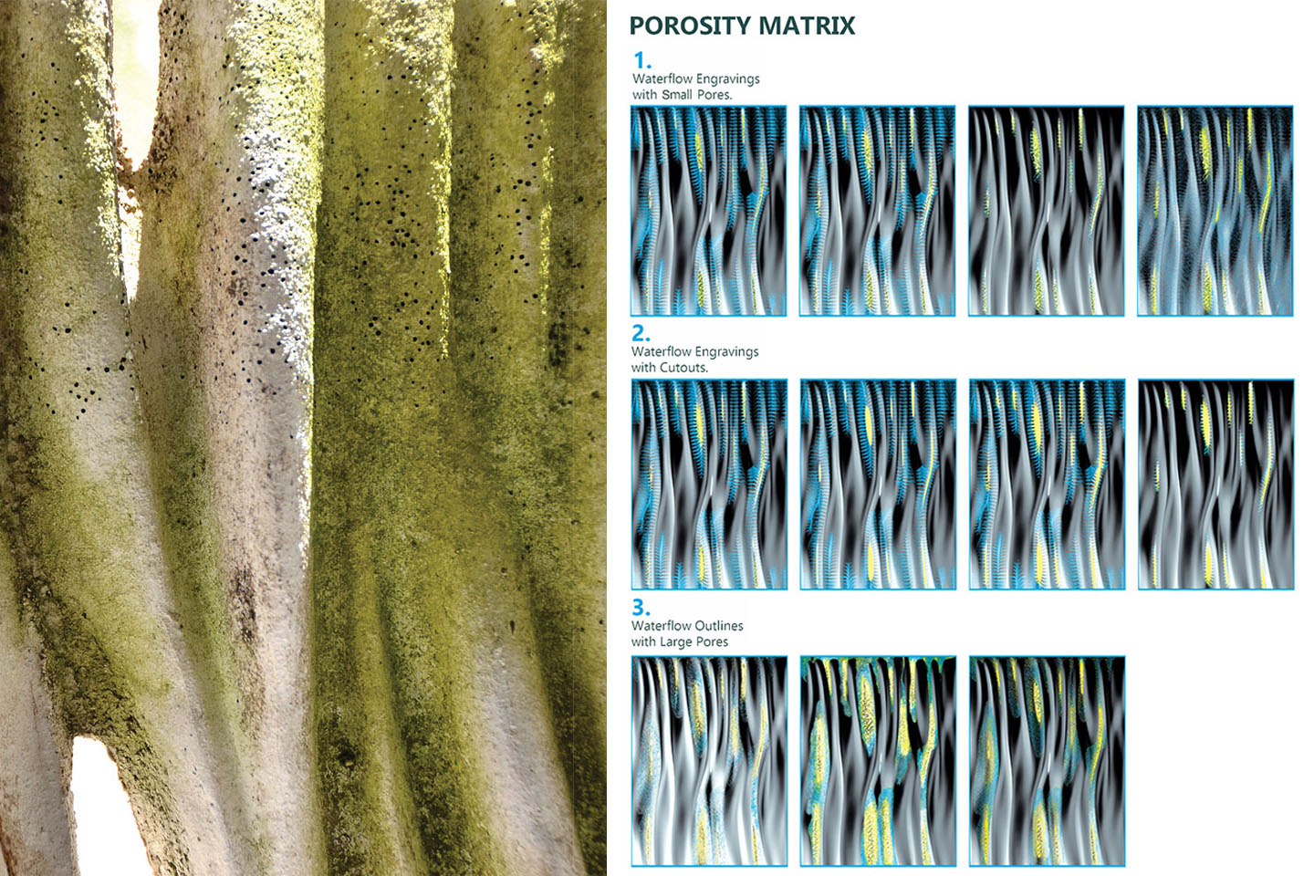 Moss Regimes Images