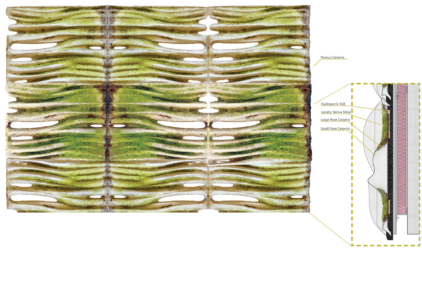 Moss Regimes Images