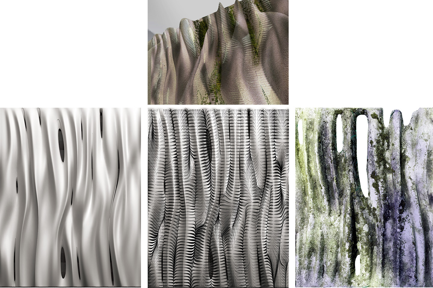Moss Regimes Images