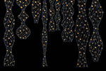 Medusa Image