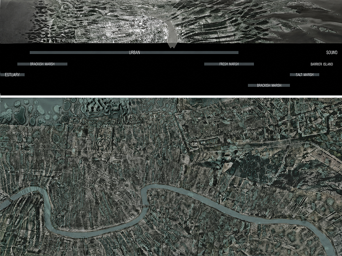 Migratory Landscapes Image