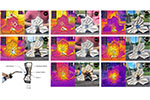 MycoFlame Image