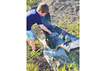 Rocking Cradle Image