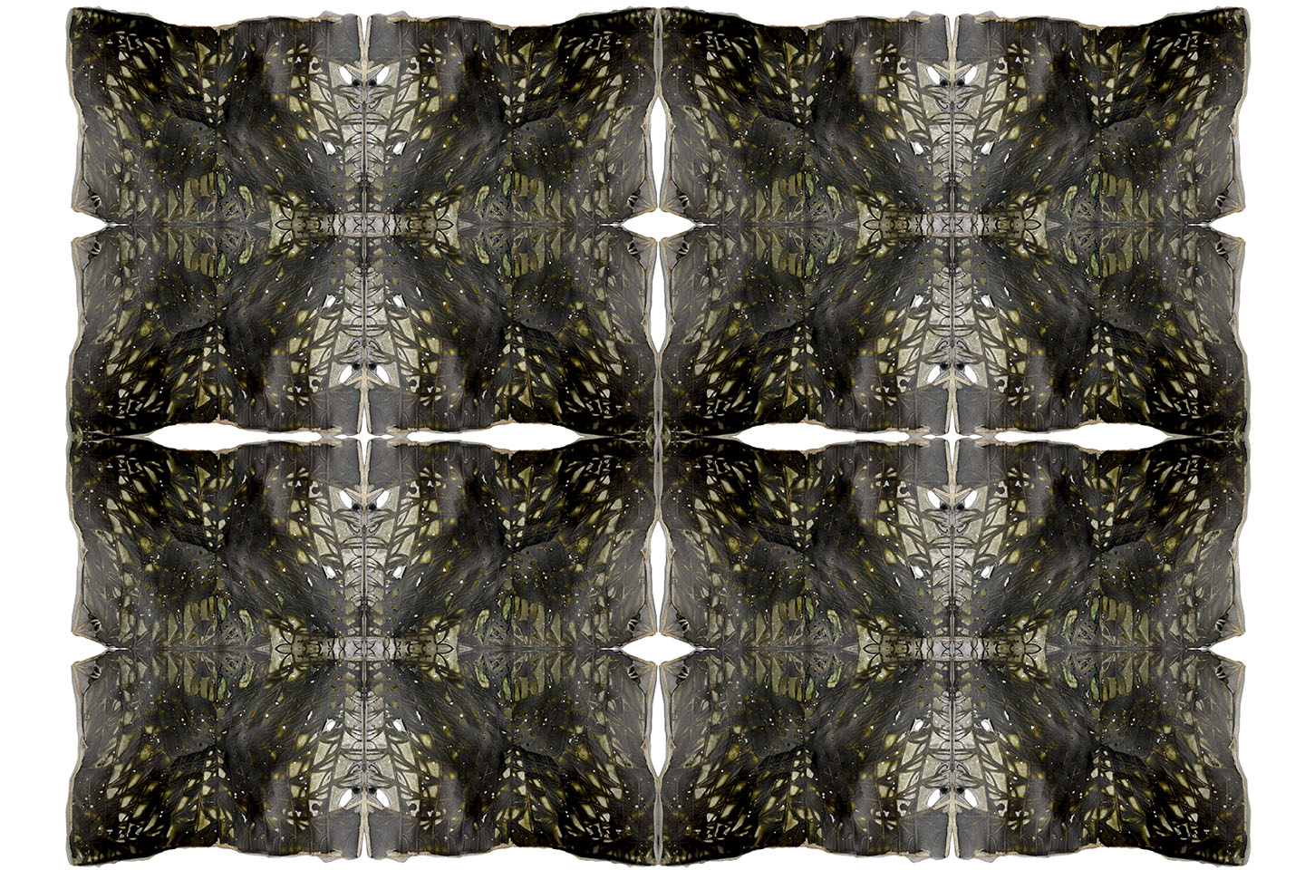 Shaping Environments Image