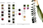 Shaping Environments Image