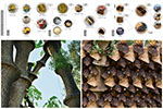 Shaping Environments Image
