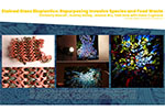 Shaping Environments Image
