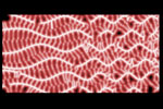 Sentient Thermochromics image