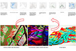 Epiflow image