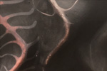 Sentient Thermochromics image
