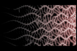 Sentient Thermochromics image