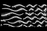 Sentient Thermochromics image