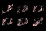 Sentient Thermochromics image