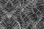 Sentient Thermochromics image