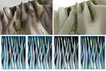Moss Regimes Images
