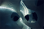 Ecologics Image