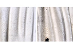 Moss Regimes Images