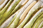Moss Regimes Images