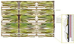 Moss Regimes Images