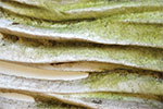 Moss Regimes Images