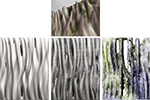 Moss Regimes Images