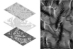 Ecologics Image