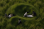 Earth hugs