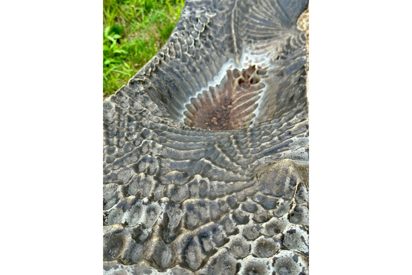CycleGAN