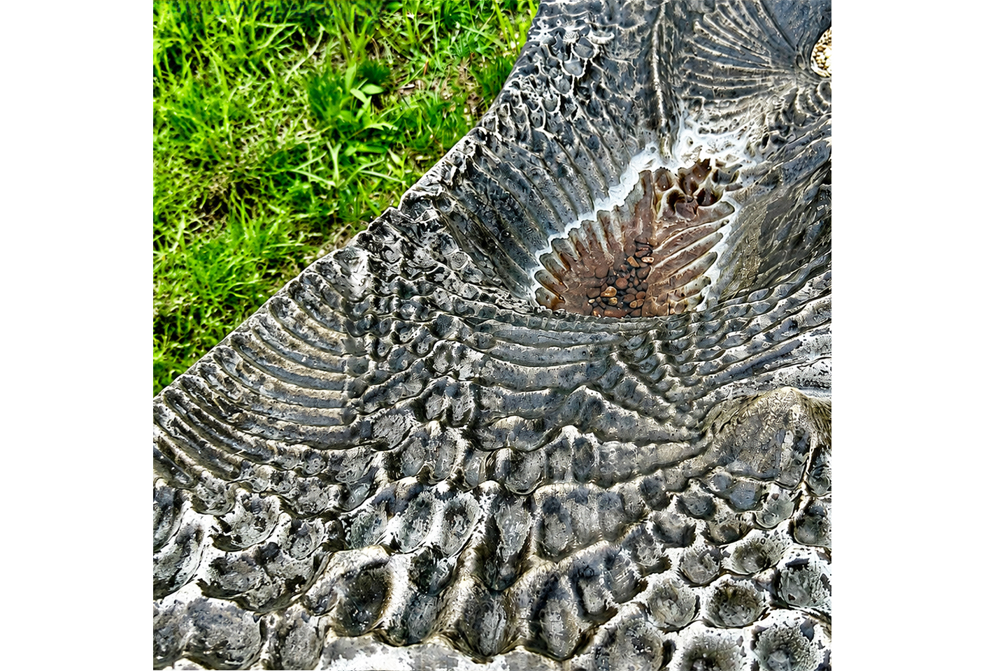 CycleGAN