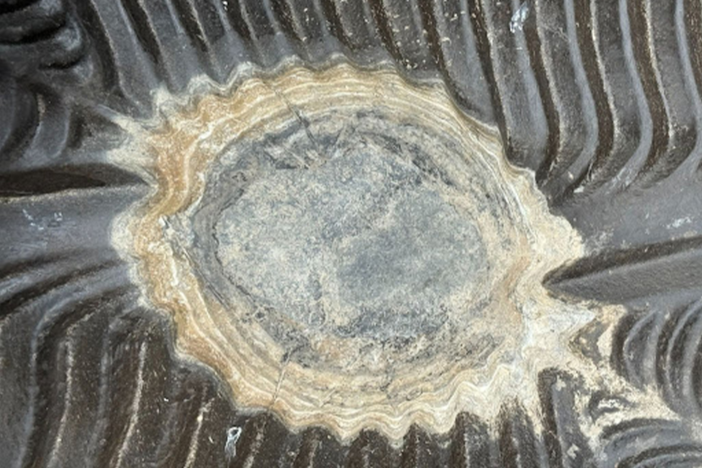 CycleGAN